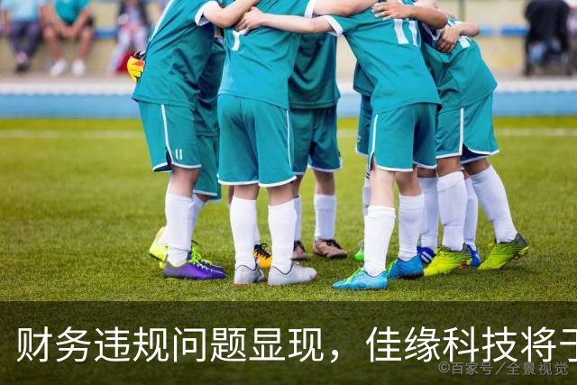 财务违规问题显现，佳缘科技将于8月25日披露风险警示