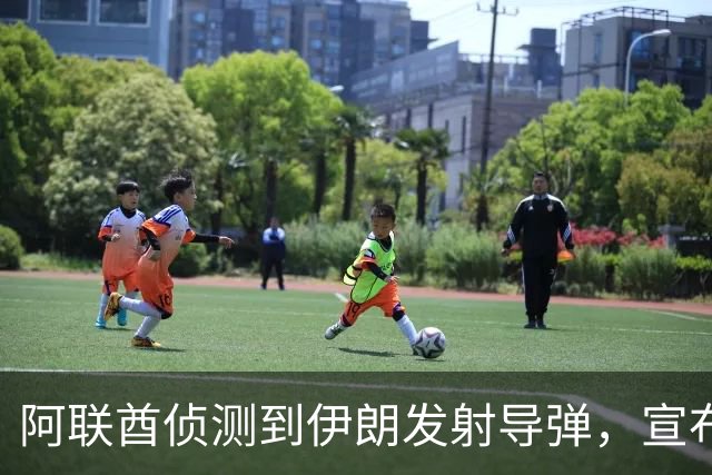 阿联酋侦测到伊朗发射导弹，宣布暂停与其经贸往来