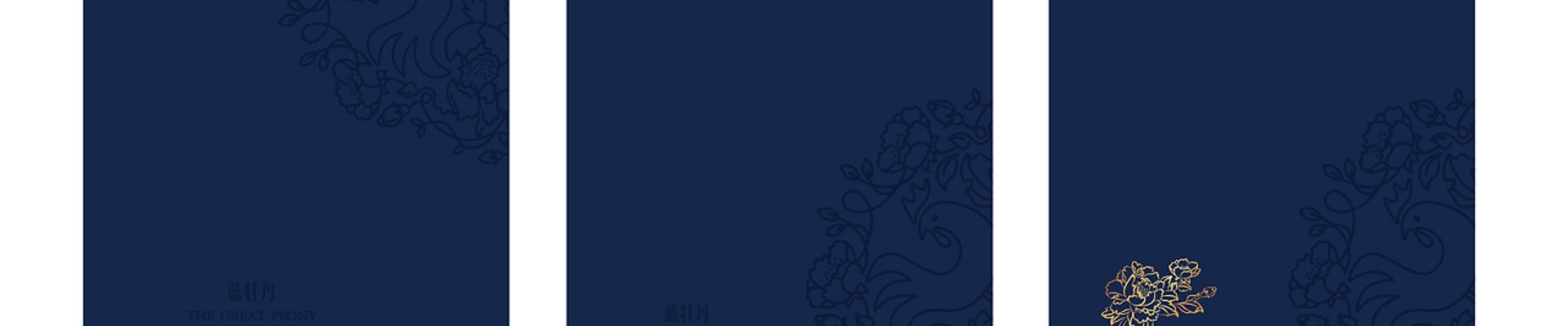 项目案例